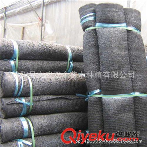 園藝用品 廠家直銷批發(fā)2針防老化農(nóng)用遮陽網(wǎng) 黑色75%遮陽率 抗老化量大從優(yōu)原始圖片3