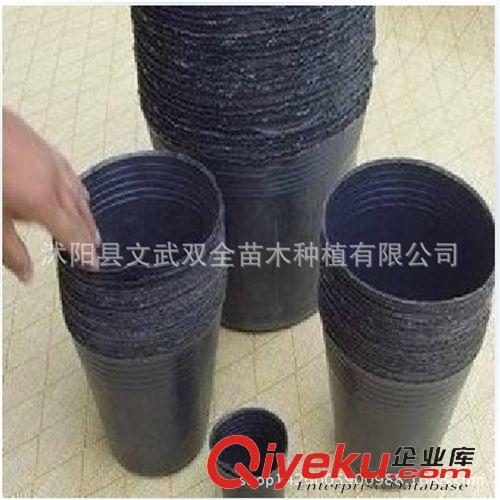 園藝用品 大量供應(yīng)防老化育苗袋 營養(yǎng)缽 營養(yǎng)袋 營養(yǎng)杯 塑料花盆 育苗盆原始圖片2