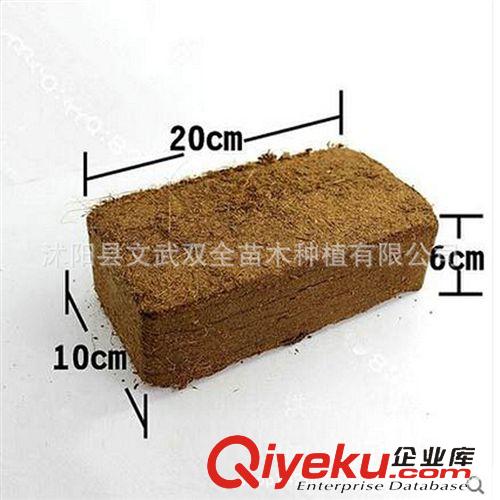 園藝用品 花卉肥料 硫酸亞鐵園藝花卉養(yǎng)花花木補(bǔ)鐵肥料 主治植物黃葉病