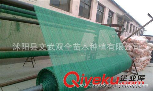 園藝用品 廠家量大從優(yōu)綠色遮陽(yáng)網(wǎng)防曬網(wǎng)遮陽(yáng)網(wǎng)農(nóng)用遮陰網(wǎng)2針批發(fā)原始圖片2