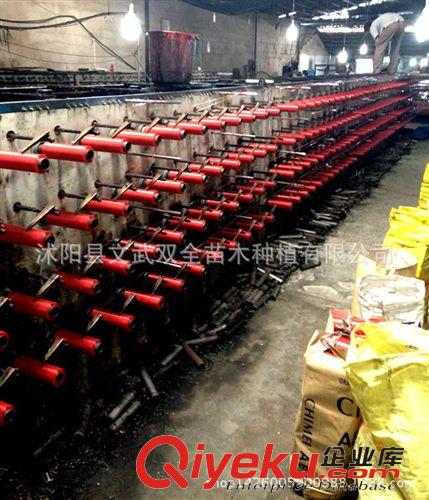 園藝用品 低價批發(fā) 藍(lán)色農(nóng)用遮陽網(wǎng) 3針 遮陽防霜遮光抗風(fēng) 抗老化 量大從優(yōu)原始圖片2