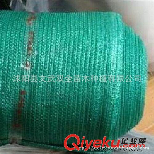 園藝用品 低價批發(fā) 藍(lán)色農(nóng)用遮陽網(wǎng) 3針 遮陽防霜遮光抗風(fēng) 抗老化 量大從優(yōu)原始圖片3