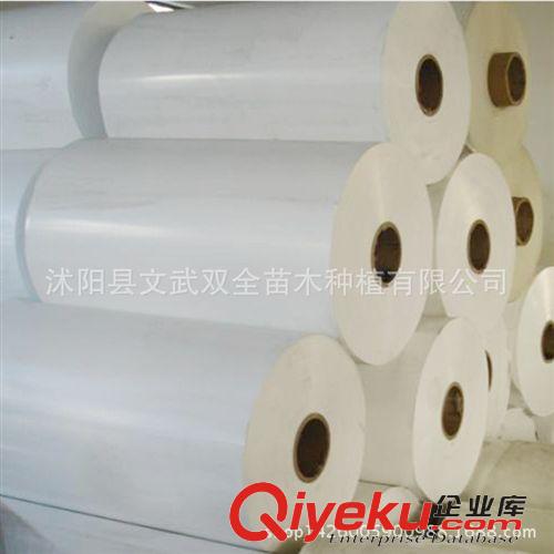 園藝用品 批發(fā)優(yōu)質(zhì)大棚塑料薄膜 PE薄膜地膜大棚膜農(nóng)膜 透明耐用專業(yè)生產(chǎn)原始圖片3