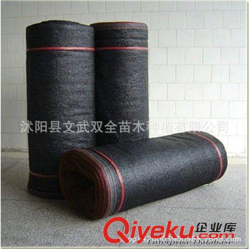 園藝用品 黑色遮陽網(wǎng)防曬網(wǎng)遮陽網(wǎng)農(nóng)用遮陰網(wǎng)2針3針6針批發(fā)廠家量大從優(yōu)原始圖片3