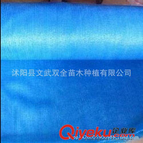 園藝用品 廠家直銷(xiāo)批發(fā)遮陽(yáng)網(wǎng)2針 藍(lán)色 防曬網(wǎng) 隔熱網(wǎng)  彩色遮陽(yáng)網(wǎng)原始圖片3