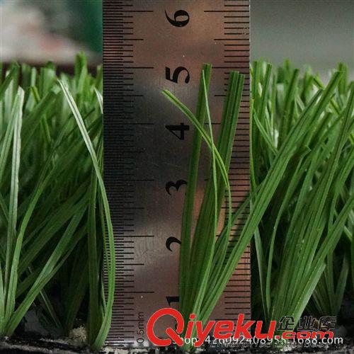 足球場草坪 廠家直銷 足球場仿真草坪 塑料假草 人工/人造草 品質保證