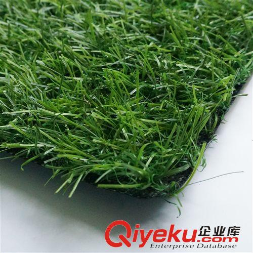 休閑草坪 廠家直銷 高爾夫球場(chǎng)仿真草坪 塑料假草 人工/人造草 休閑草