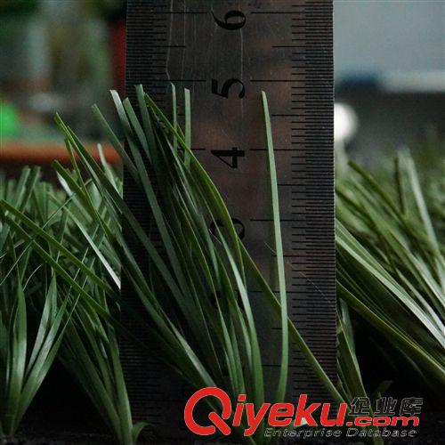 休閑草坪 廠家直銷 足球場仿真草坪 塑料假草 人工/人造草 熱銷!