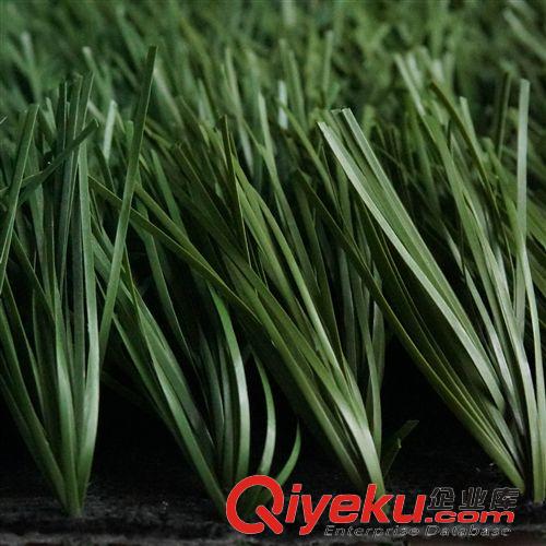休閑草坪 廠家直銷 足球場仿真草坪 塑料假草 人工/人造草 熱銷!