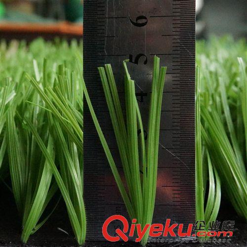 休閑草坪 廠家直銷 足球場仿真草坪 塑料假草 人工/人造草 鉆石單絲