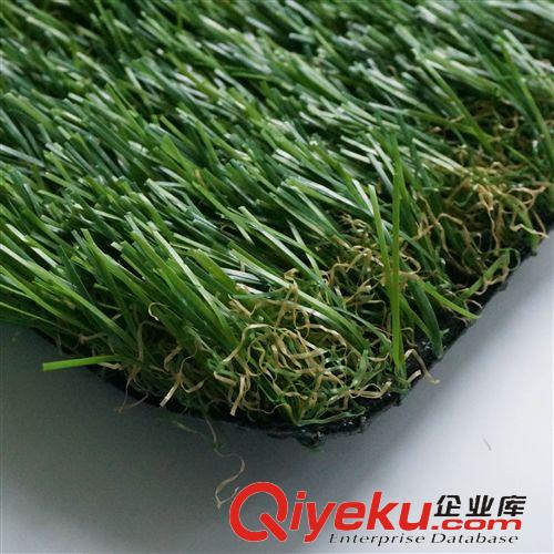 休閑草坪 廠家直銷 高爾夫球場(chǎng)仿真草坪 塑料假草 人工/人造草 休閑草
