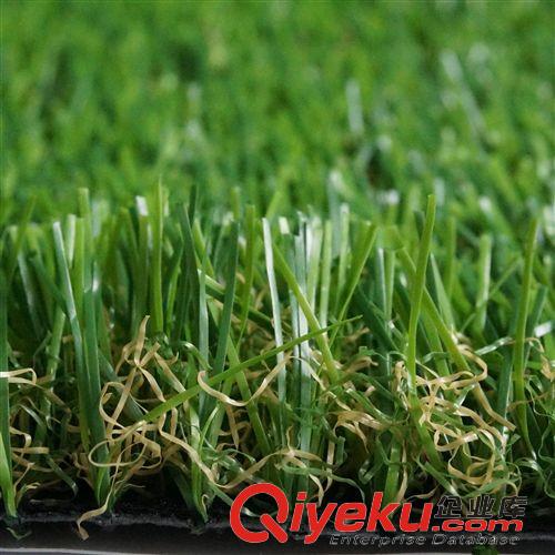 休閑草坪 廠家直銷 高爾夫球場(chǎng)仿真草坪 塑料假草 人工/人造草 休閑草