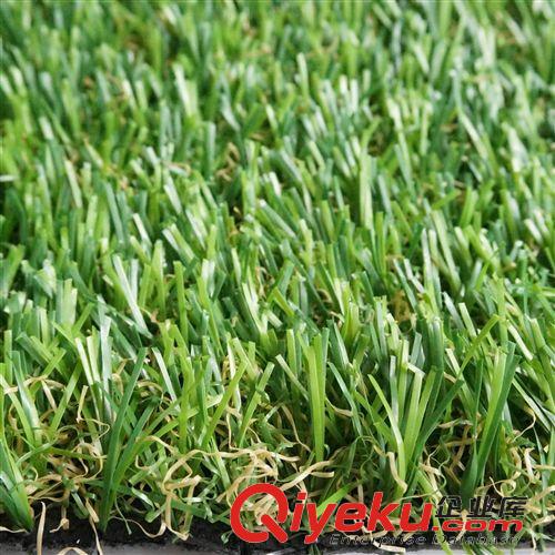 休閑草坪 廠家直銷 高爾夫球場(chǎng)仿真草坪 塑料假草 人工/人造草 休閑草