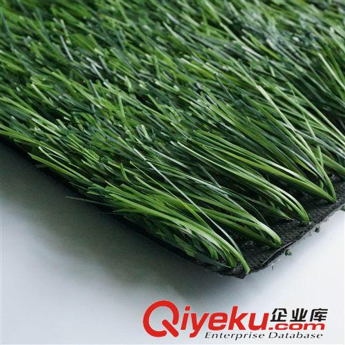 休閑草坪 廠家直銷 足球場(chǎng)仿真草坪 塑料假草 人工/人造草 熱銷!