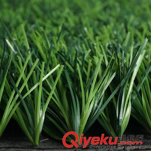 休閑草坪 廠家直銷 足球場仿真草坪 塑料假草 人工/人造草 熱銷!
