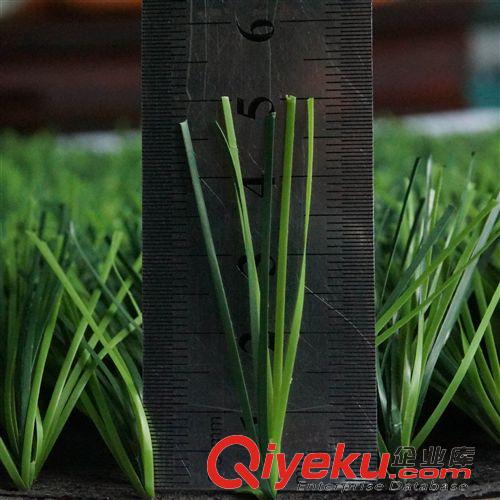 休閑草坪 廠家直銷 足球場仿真草坪 塑料假草 人工/人造草 熱銷!
