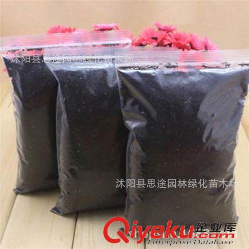 種花種菜肥料 粉末狀快速生根粉  15g/袋 顆粒小包裝 育苗必備 提高成活率