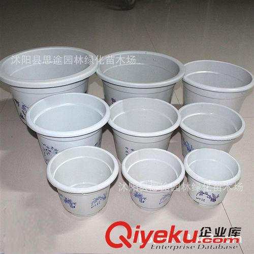 塑料樹(shù)脂花盆 廠家直銷白色圓形大花盆 中式花盆 塑料種花種菜盆加厚 特大菜盆原始圖片3