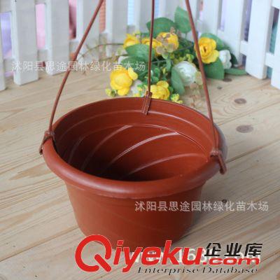 塑料樹脂花盆 批發銷售 園藝吊盆 吊蘭盆 白色紅色塑料花盆 陽臺種植 堅固耐用原始圖片2