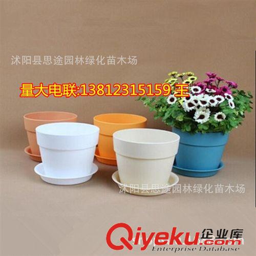 塑料樹脂花盆 批發銷售 園藝吊盆 吊蘭盆 白色紅色塑料花盆 陽臺種植 堅固耐用