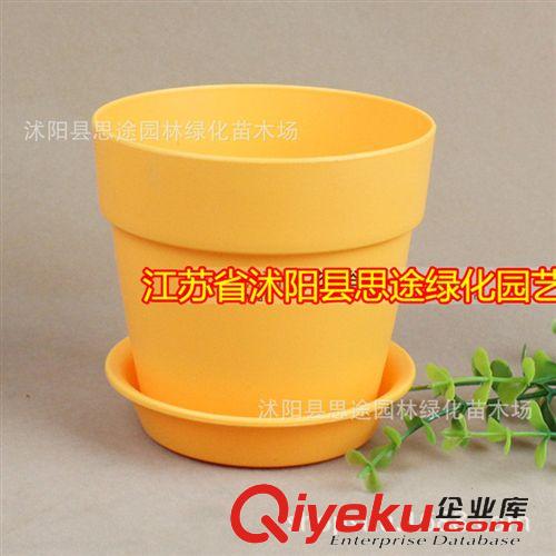 塑料樹(shù)脂花盆 批發(fā)銷(xiāo)售 仿陶土圓形花盆 塑料花盆 樹(shù)脂花盆 多色可選 帶盆托原始圖片2