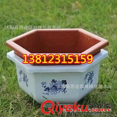 塑料樹脂花盆 批發(fā)黑色塑料育苗盤 營養(yǎng)缽 蔬菜 花卉育苗 加厚 抗氧化 耐用