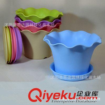 塑料樹(shù)脂花盆 廠家批發(fā) 蕾絲塑料花盆 陽(yáng)臺(tái)蔬菜室內(nèi)盆栽 多色可選  量大價(jià)優(yōu)