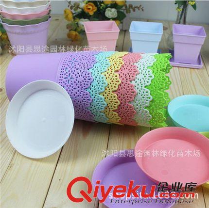 塑料樹(shù)脂花盆 廠家批發(fā) 蕾絲塑料花盆 陽(yáng)臺(tái)蔬菜室內(nèi)盆栽 多色可選  量大價(jià)優(yōu)