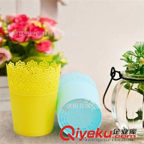 塑料樹(shù)脂花盆 廠家批發(fā) 蕾絲塑料花盆 陽(yáng)臺(tái)蔬菜室內(nèi)盆栽 多色可選  量大價(jià)優(yōu)原始圖片2