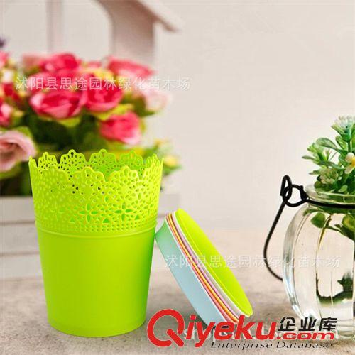 塑料樹(shù)脂花盆 廠家批發(fā) 蕾絲塑料花盆 陽(yáng)臺(tái)蔬菜室內(nèi)盆栽 多色可選  量大價(jià)優(yōu)原始圖片3