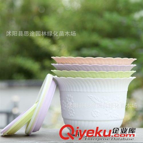 塑料樹(shù)脂花盆 廠家批發(fā) 蕾絲塑料花盆 陽(yáng)臺(tái)蔬菜室內(nèi)盆栽 多色可選  量大價(jià)優(yōu)