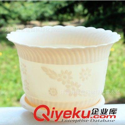 塑料樹(shù)脂花盆 蓮花盆 全新PP料樹(shù)脂塑料花盆送托盤(pán) 碗蓮盆水培盆栽綠植花盆原始圖片3