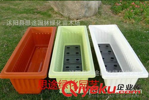 塑料樹(shù)脂花盆 陽(yáng)臺(tái)蔬菜盆種菜盆加大加厚塑料大花盆超長(zhǎng)花盆1米長(zhǎng)花盆原始圖片3