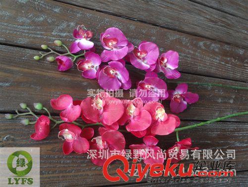 新品sf 仿真蝴蝶蘭 仿真蘭花 PU手感膠蝴蝶蘭 塑料花假花 深圳仿真花G053原始圖片2