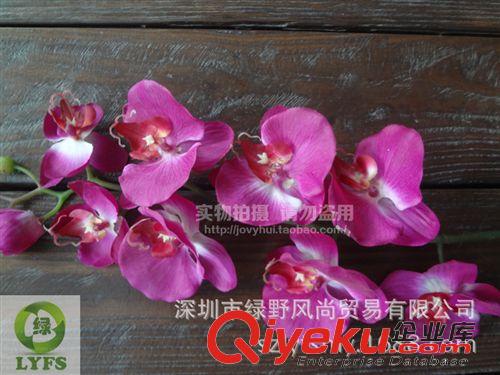 新品sf 仿真蝴蝶蘭 仿真蘭花 PU手感膠蝴蝶蘭 塑料花假花 深圳仿真花G053原始圖片3