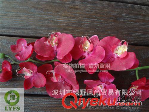 小草、小花 仿真蝴蝶蘭 仿真蘭花 PU手感膠蝴蝶蘭 塑料花假花 深圳仿真花G053