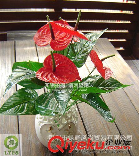 小草、小花 仿真吊蘭 仿真蘭草 塑料花 廠家批發(fā)假花 仿真小綠草 干花G046