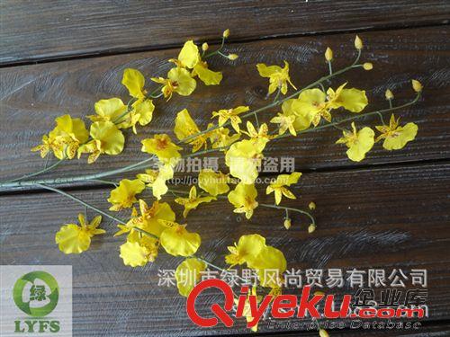 小草、小花 仿真跳舞蘭 假真蘭花 干花假花 絹布花批發(fā) 廠家經(jīng)銷商G060