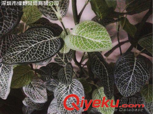 仿真藤條 供應豬心藤、壁掛藤束、仿真藤葉、仿真植物 綠野風尚廠家供應