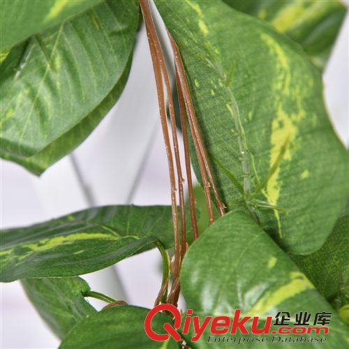 綠藤專區 廠家直銷環保居家裝飾品批發gd仿真植物逼真葡萄藤蔓綠蘿葉藤條原始圖片3