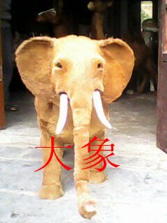 教學標本系列 廠家直銷  游戲玩具  塑料套圈   塑料玩具  智力游戲 玩具套圈