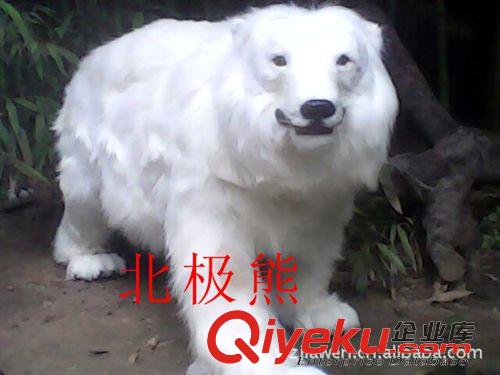 教學標本系列 廠家直銷 標本 工藝品 教學模型 仿真象原始圖片2