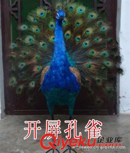 教學標本系列 廠家直銷 教學器材 演示模型教具 生物標本 工藝品 動物仿真雪狼原始圖片2