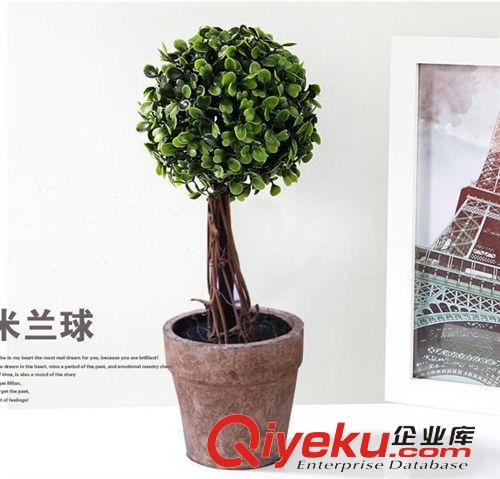 盆景套裝 綠躍米蘭草球陶瓷盆套裝仿真花餐桌客廳花套裝裝飾擺放花藝小盆景原始圖片2