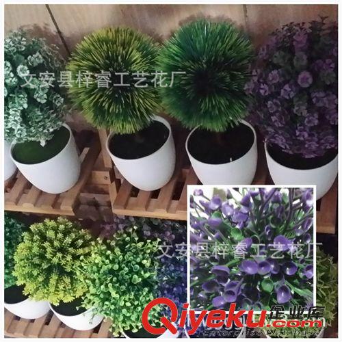 小盆景 仿真盆栽植物 小盆景 干花 絹花小盆景 塑料長生花裝飾廠家批發(fā)