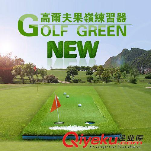 高尔夫练习用品 GOLF高尔夫 高尔夫推杆练习器 高尔夫室内 果岭练习器