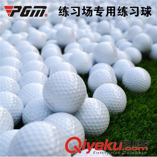 高尔夫球 生产厂家 高尔夫球 GOLF高尔夫练习球 双层 空白