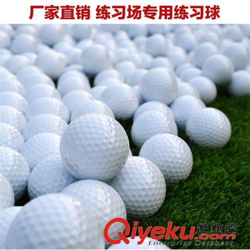 高尔夫球 生产厂家 高尔夫球 GOLF高尔夫练习球 双层 空白