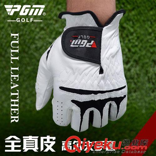 高爾夫服飾 生產(chǎn)廠家 PGMzp 高爾夫手套 手套 全zp 男款 左右雙手原始圖片2