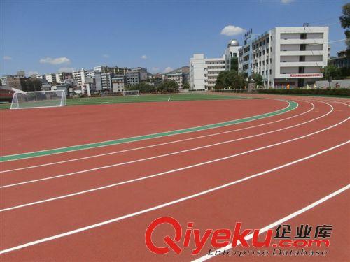 運動跑道 優質卷材地墊運動跑道 運動場幼兒園學校場地運動跑道